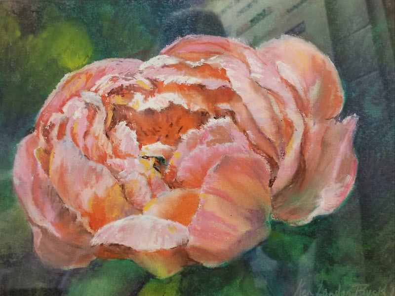 Peony Glow, a pastel painting by Ken Landon Buck